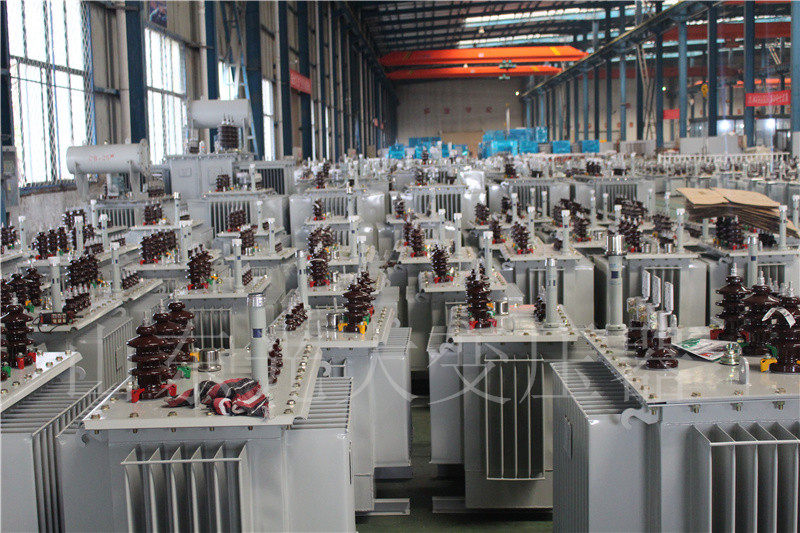 蒙自S22-800KVA/10KV